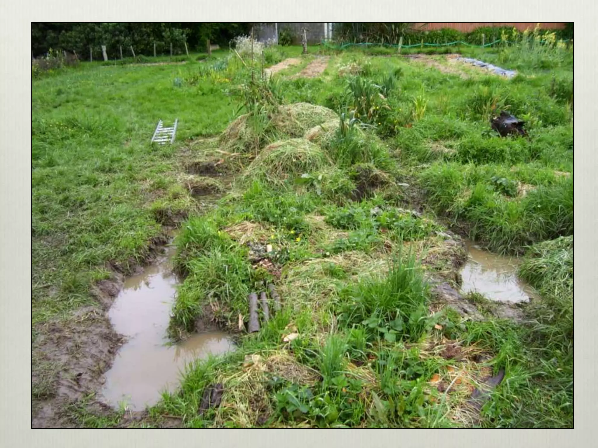 Perma aquaculture3-system examples