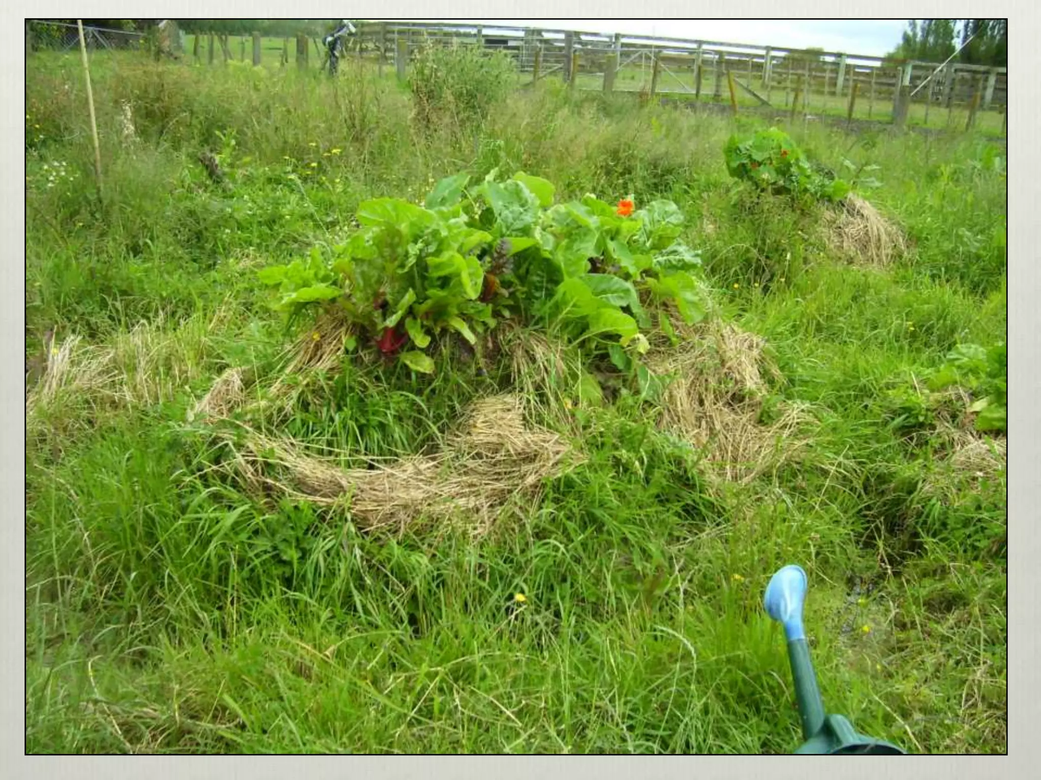 Perma aquaculture3-system examples