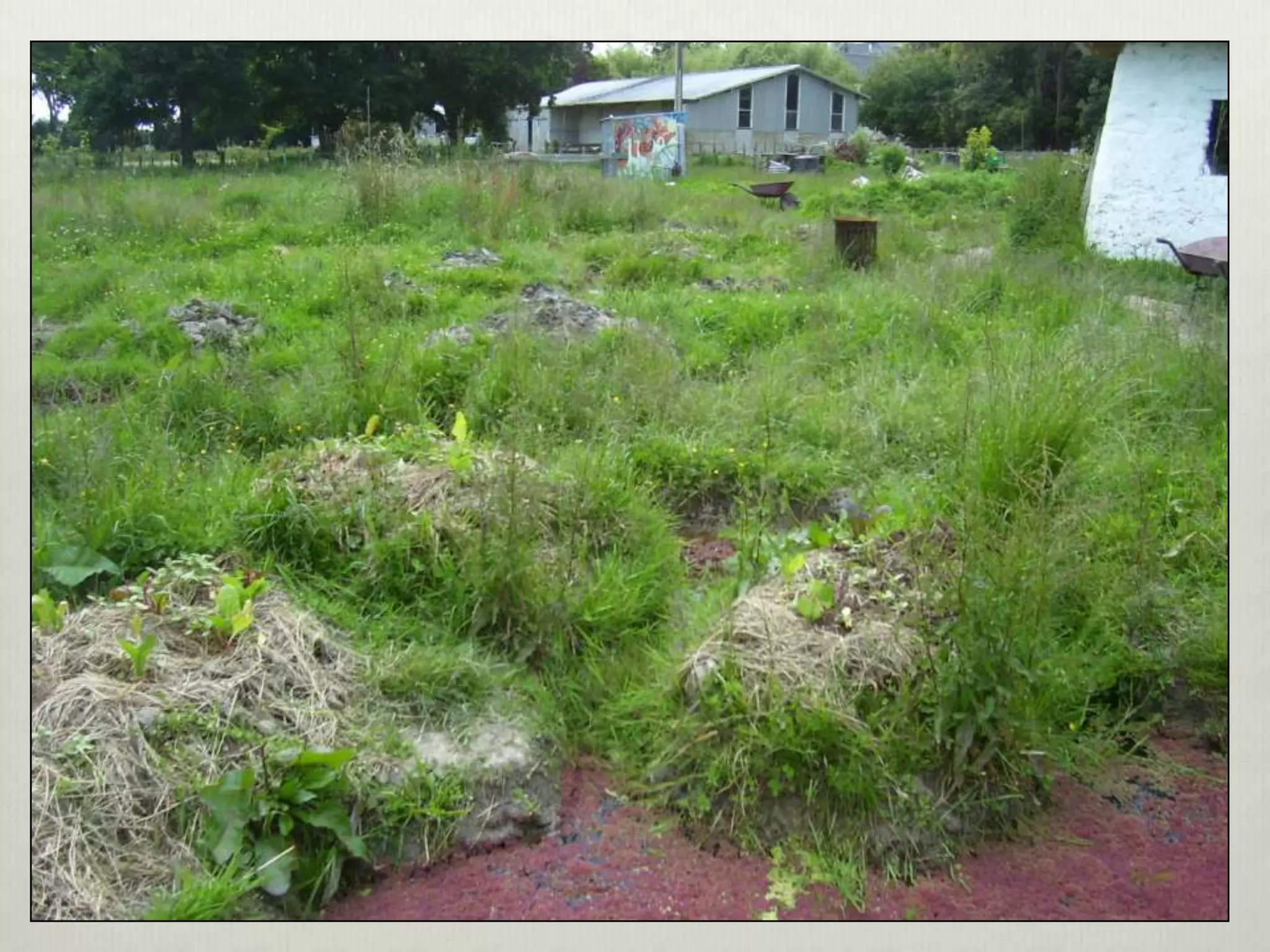 Perma aquaculture3-system examples