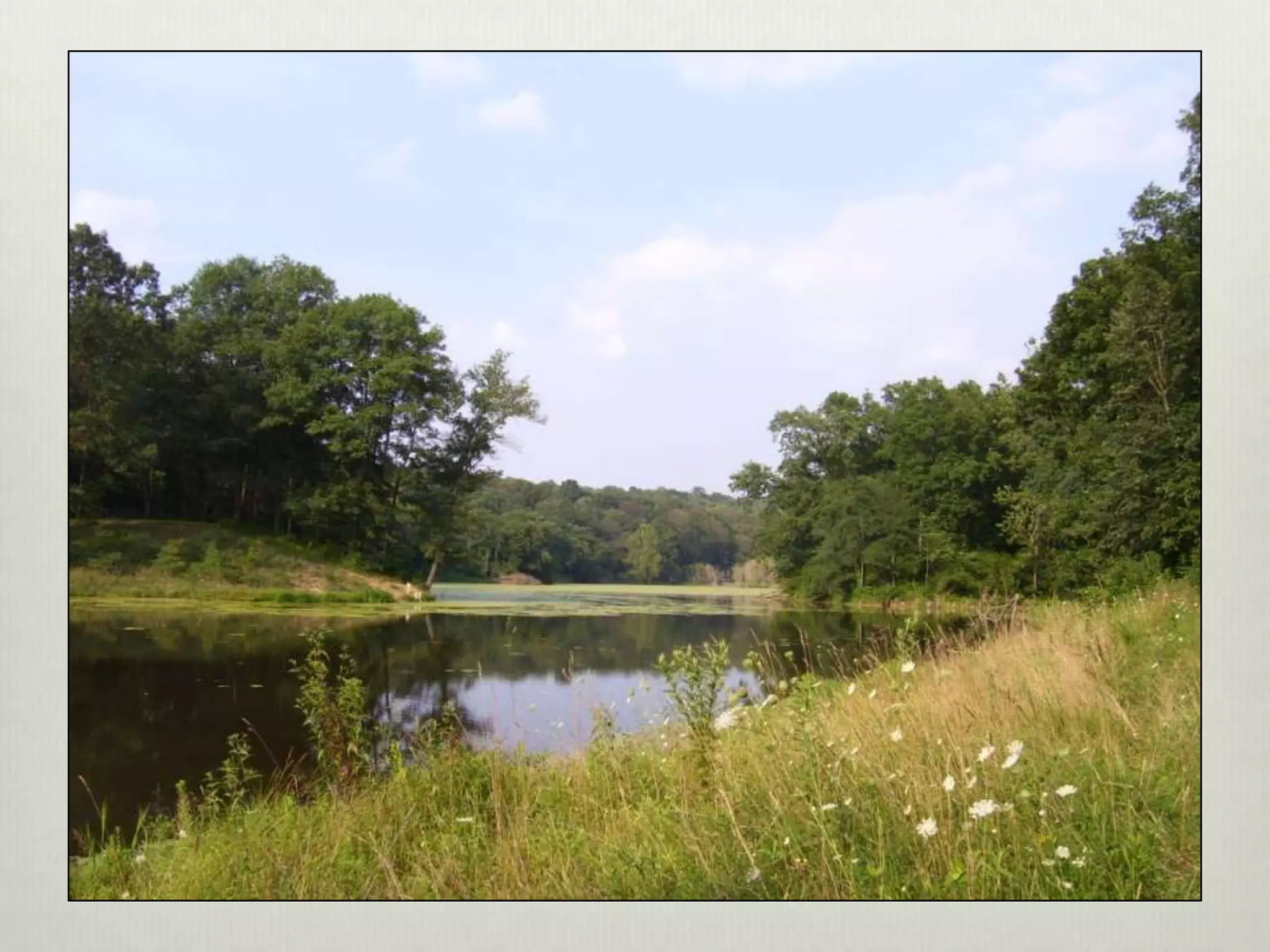 Perma aquaculture3-system examples