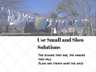 Use Small and Slow
Solutions
The bigger they are, the harder
they fall
Slow and steady wins the race
http://610kirby-permaculture.org/
 