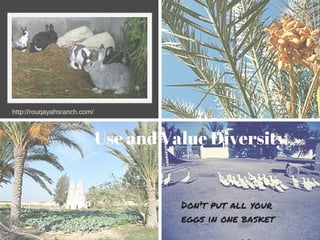 Use and Value Diversity
Don't put all your
eggs in one basket
http://rouqayahsranch.com/
 