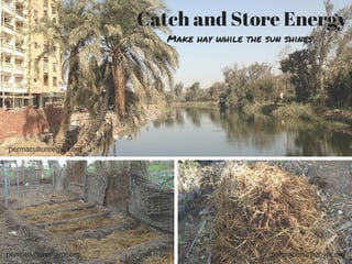 Catch and Store Energy
Make hay while the sun shines
permacultureegypt.org
permacultureegypt.org permacultureegypt.org
 