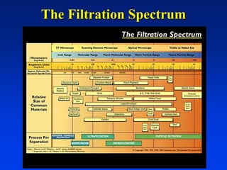 The Filtration Spectrum
 