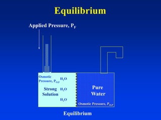 Equilibrium
Applied Pressure, PF
H2O
H2O
H2O
Strong
Solution
Equilibrium
Pure
Water
Osmotic
Pressure, PO,F
Osmotic Pressure, PO,P
 
