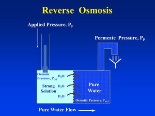 Reverse Osmosis
Applied Pressure, PF
H2O
H2O
H2O
Strong
Solution
Pure Water Flow
Pure
Water
Permeate Pressure, PP
Osmotic
Pressure, PO,F
Osmotic Pressure, PO,P
 