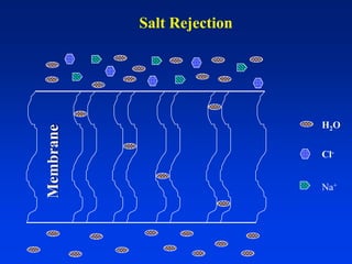 Salt Rejection
H2O
Cl-
Na+
Membrane
 
