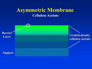 Asymmetric Membrane
Cellulose Acetate
Support
Barrier
Layer Graded-density
cellulose acetate
 