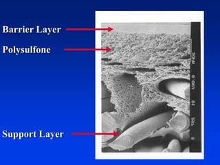 Barrier Layer
Polysulfone
Support Layer
 