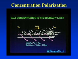 Concentration Polarization
 