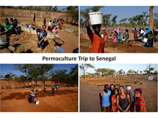 Permaculture Trip to Senegal 
 