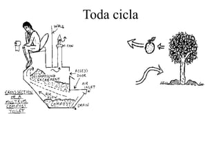Toda cicla
 