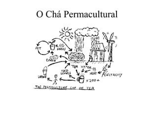 O Chá Permacultural
 