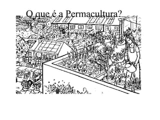 O que é a Permacultura?
 