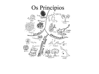 Os Princípios
 