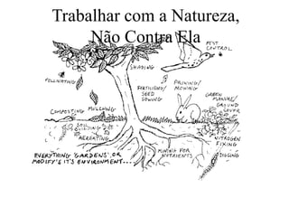 Trabalhar com a Natureza,
Não Contra Ela
 