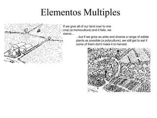 Elementos Multiples
If we give all of our land over to one
crop (a monoculture) and it fails, we
starve...
...but if we grow as wide and diverse a range of edible
plants as possible (a polyculture), we still get to eat if
some of them don't make it to harvest
 