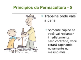 Princípios da Permacultura - 5 Trabalhe onde vale a pena Somente capine se você vai replantar imediatamente, caso contrário, você estará capinando novamente no mesmo mês... 
