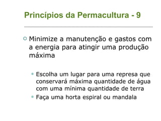 Princípios da Permacultura - 9 Minimize a manutenção e gastos com a energia para atingir uma produção máxima Escolha um lugar para uma represa que conservará máxima quantidade de água com uma mínima quantidade de terra Faça uma horta espiral ou mandala 