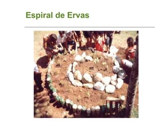 Espiral de Ervas 