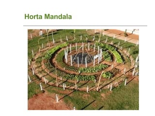 Horta Mandala 