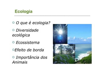 Ecologia O que é ecologia? Diversidade ecológica Ecossistema Efeito de borda Importância dos Animais 