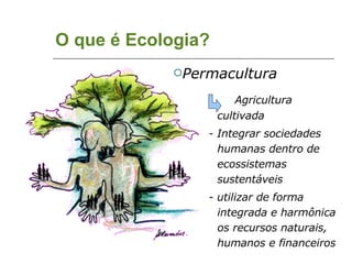 O que é Ecologia? Permacultura  Agricultura cultivada - Integrar sociedades humanas dentro de ecossistemas sustentáveis - utilizar de forma integrada e harmônica os recursos naturais, humanos e financeiros 