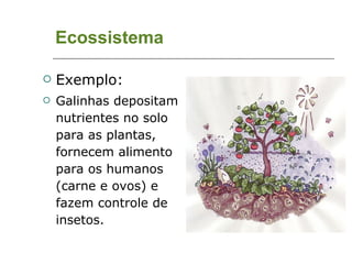 Ecossistema Exemplo: Galinhas depositam nutrientes no solo para as plantas, fornecem alimento para os humanos (carne e ovos) e fazem controle de insetos. 
