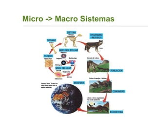 Micro -> Macro Sistemas 