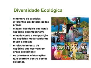 Diversidade Ecológica o número de espécies diferentes em determinadas áreas; o papel ecológico que estas espécies desempenham; o modo como a composição de espécies muda conforme muda a região;  o relacionamento de espécies que ocorrem em áreas específicas; os processos e interações que ocorrem dentro destes sistemas. 