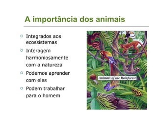 A importância dos animais Integrados aos ecossistemas Interagem harmoniosamente com a natureza Podemos aprender com eles Podem trabalhar para o homem 