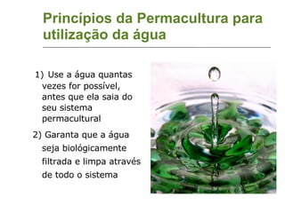 Princípios da Permacultura para utilização da água 1)   Use a água quantas vezes for possível, antes que ela saia do seu sistema permacultural 2) Garanta que a água seja biológicamente filtrada e limpa através de todo o sistema 