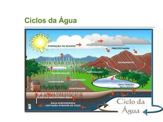 Ciclos da Água 