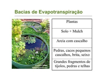Bacias de Evapotranspiração Grandes fragmentos de tijolos, pedras e telhas Pedras, cacos pequenos cascalhos, brita, seixo Areia com cascalho Solo + Mulch Plantas 