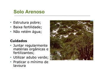 Solo Arenoso Estrutura pobre; Baixa fertilidade; Não retém água; Cuidados Juntar regularmente matérias orgânicas e fertilizantes; Utilizar adubo verde; Praticar o mínimo de lavoura  