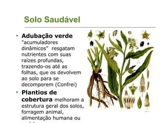 Solo Saudável Adubação verde   "acumuladores dinâmicos”  resgatam nutrientes com suas raízes profundas, trazendo-os até as folhas, que os devolvem ao solo para se decomporem (Confrei)  Plantios de cobertura   melhoram a estrutura geral dos solos, forragem animal, alimentação humana ou mulch  