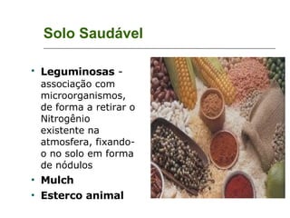 Solo Saudável Leguminosas  -   associação com microorganismos, de forma a retirar o Nitrogênio existente na atmosfera, fixando-o no solo em forma de nódulos Mulch Esterco animal   
