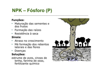 NPK – Fósforo (P) Funções: Maturação das sementes e dos frutos Formação das raízes Resistência à seca Sinais: Atraso no crescimento Má formação dos rebentos laterais e das flores Doenças Soluções: estrume de aves, cinzas de lenha, farinha de osso, fertilizante químico 