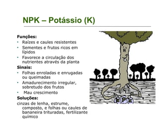 NPK – Potássio (K)‏ Funções: Raízes e caules resistentes Sementes e frutos ricos em lípidos Favorece a circulação dos nutrientes através da planta Sinais: Folhas enroladas e enrugadas ou queimadas Amadurecimento irregular, sobretudo dos frutos Mau crescimento Soluções: cinzas de lenha, estrume, composto, e folhas ou caules de bananeira trituradas, fertilizante químico 