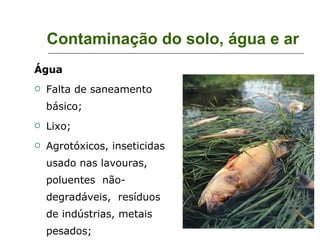 Contaminação do solo, água e ar Água Falta de saneamento básico; Lixo; Agrotóxicos, inseticidas usado nas lavouras, poluentes  não-degradáveis,  resíduos  de indústrias, metais pesados;  