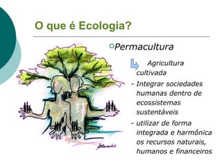 Permacultura - Sustentabilidade
 