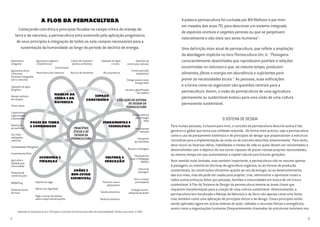 A palavra permacultura foi cunhada por Bill Mollison e por mim
em meados dos anos 70, para descrever um sistema integrado
de espécies animais e vegetais perenes ou que se perpetuam
naturalmente e são úteis aos seres humanos1
.
Uma definição mais atual de permacultura, que reflete a ampliação
da abordagem implícita no livro Permacultura Um, é: “Paisagens
conscientemente desenhadas que reproduzem padrões e relações
encontradas na natureza e que, ao mesmo tempo, produzem
alimentos, fibras e energia em abundância e suficientes para
prover as necessidades locais.” As pessoas, suas edificações
e a forma como se organizam são questões centrais para a
permacultura. Assim, a visão da permacultura de uma agricultura
permanente ou sustentável evoluiu para uma visão de uma cultura
permanente sustentável.
O SISTEMA DE DESIGN
Para muitas pessoas, inclusive para mim, o conceito de permacultura descrito acima é tão
genérico e global que torna sua utilidade reduzida. De forma mais precisa, vejo a permacultura
como o uso do pensamento sistêmico e de princípios de design que proporcionam a estrutura
conceitual para a implementação da visão ou do conceito descritos anteriormente. Para tanto,
deve reunir as diversas idéias, habilidades e modos de vida os quais devem ser reinventados e
desenvolvidos com o objetivo de nos tornar capazes de prover nossas próprias necessidades,
ao mesmo tempo em que aumentamos o capital natural para futuras gerações.
Num sentido mais limitado, mas também importante, a permacultura não se resume apenas
à paisagem, ou mesmo às técnicas da agricultura orgânica, ou às formas de produção
sustentáveis, às construções eficientes quanto ao uso da energia, ou ao desenvolvimento
das eco-vilas, mas ela pode ser usada para projetar, criar, administrar e aprimorar esses e
todos outros esforços feitos por pessoas, famílias e comunidades em busca de um futuro
sustentável. A Flor do Sistema de Design da permacultura mostra as áreas chave que
requerem transformação para a criação de uma cultura sustentável. Historicamente, a
permacultura tem focalizado o Manejo da Natureza e da Terra não apenas como uma fonte,
mas também como uma aplicação de princípios éticos e de design. Esses princípios estão
sendo aplicados agora em outras esferas de ação, voltadas a recursos físicos e energéticos,
assim como a organizações humanas (frequentemente chamadas de estruturas invisíveis nos
3
A FLOR DA PERMACULTURA
Começando com ética e princípios focados no campo crítico do manejo da
terra e da natureza, a permacultura está evoluindo pela aplicação progressiva
de seus princípios à integração de todos os sete campos necessários para a
sustentação da humanidade ao longo do período de declínio de energia.
Adaptado da introdução do livro “Princípios e Caminhos da Permacultura Além da Sustentabilidade” Direitos reservados © 2002
2
EVOLUÇÃO DO SISTEMA
DE DESIGN DA
PERMACULTURA
PRINCÍPIOS
ÉTICOS E DE
DESIGN DA
PERMACULTURA
Captação de água
e reuso
Materiais de
construção naturais
Construção pelo
proprietário
Design passivo para
energia solar
Carvão e gaseificação
da madeira
Design passivo
para energia
solar
Ferramentas
manuais
Transporte
por bicicletas
Reuso e reciclagem
Educação em
casa e Pedagogia
Waldorf
Leitura da
paisagem
Arte e música
participativa
Ecologia social e
pesquisa de ações
Parto em casa e
aleitamento
Saúde preventiva
Medicina holística
Yoga e outras disciplinas
sobre corpo/mente/espírito
Morte com dignidade
Espírito de lugar
Sistemas locais
de troca
Produtos de
comércio justo
Agricultura
Apoiada pela
comunidade
Investimento Ético
Contabilidade EMergética
Eco-vilas –
habitações
coletivas
Resolução
de conflitos
Cooperativas –
organizações
corporativas
Título nativo
Manejo holístico
de campos
Captação de água
(keyline)
Agrossilvicultura
e técnicas
florestais integradas
com a natureza
Horticultura bio-intensiva
Agricultura orgânica
e biodinâmica
Aqüicultura
integrada
Extrativismo
Cultivo de verduras /
plantas na floresta
Bancos de sementes Bio-arquitetura
WWOOFing
 