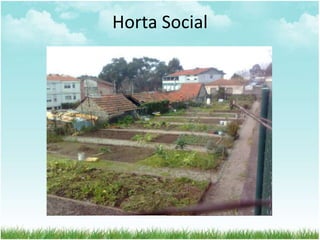 Horta Social
 
