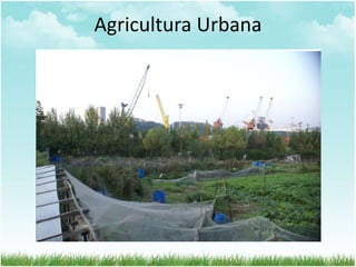 Agricultura Urbana
 