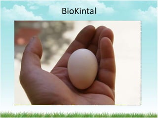BioKintal
 
