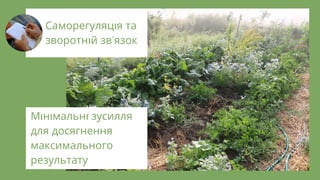 М н мальн зусилля
для досягнення
максимального
результату
Саморегуляц я та
зворотн й зв'язок
 