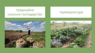 традиц йне
с льське господарство
пермакультура
 