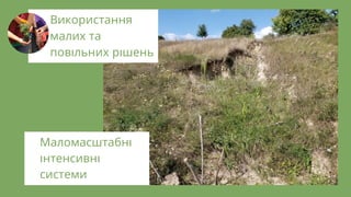 Маломасштабн
нтенсивн
системи
Використання
малих та
пов льних р шень
 