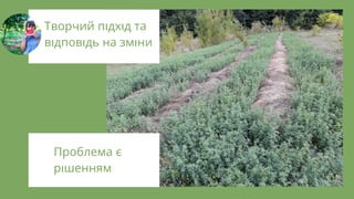 Проблема є
р шенням
Творчий п дх д та
в дпов дь на зм ни
 