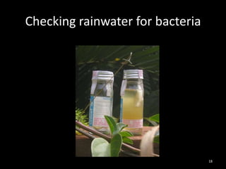 Checking rainwater for bacteria




                                  18
 